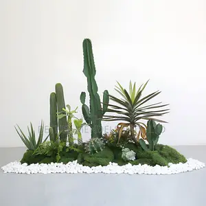 Cactus Landscaping Design With Green Moss And White Stones