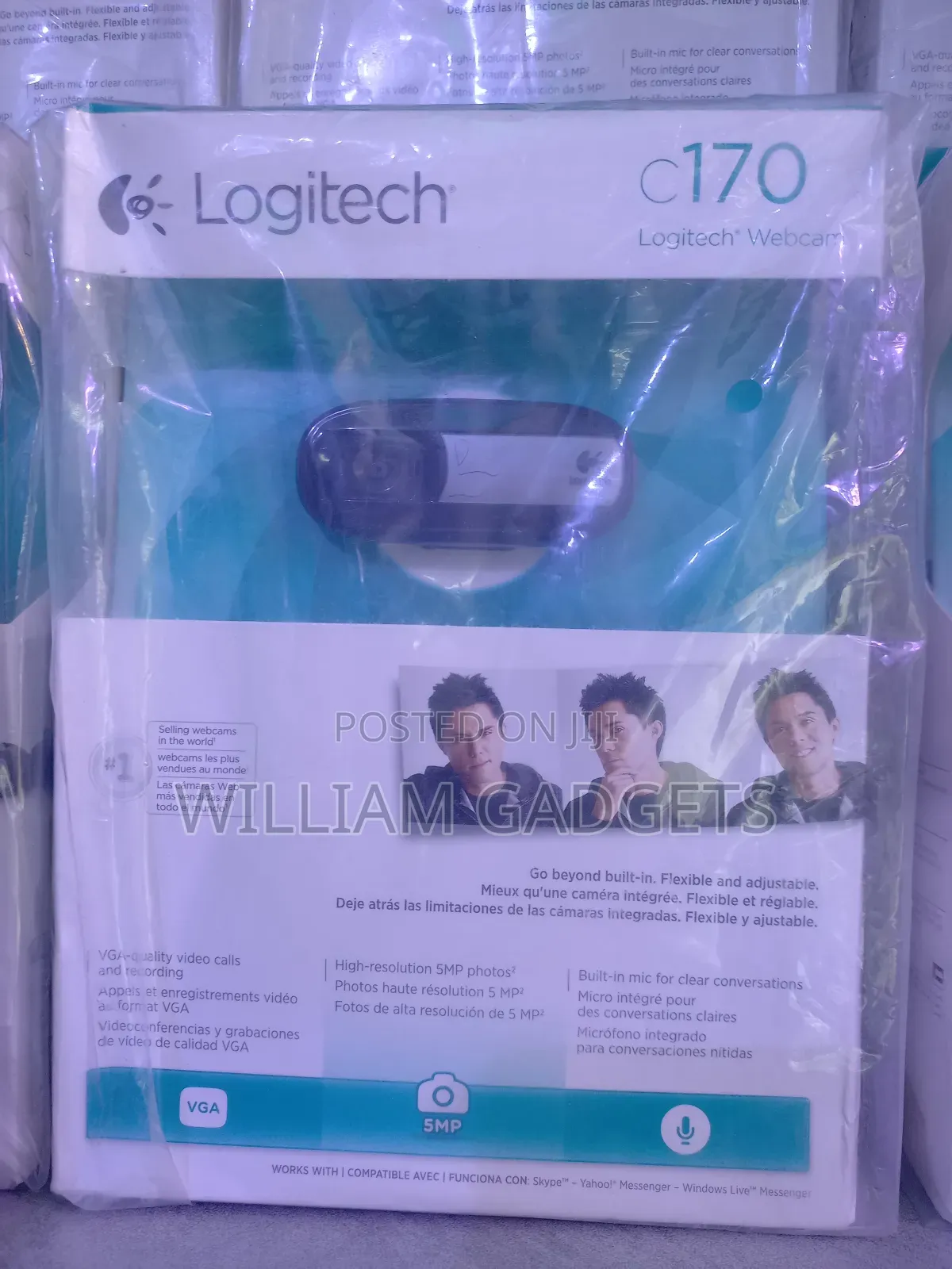 Logitech C170 Webcam