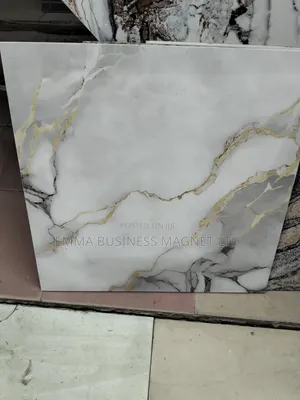 60x60 High Quality Goodwill Floor Tiles