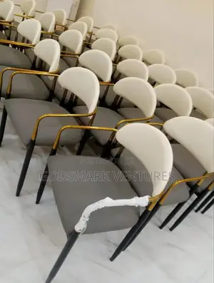 Portable Dining Chair