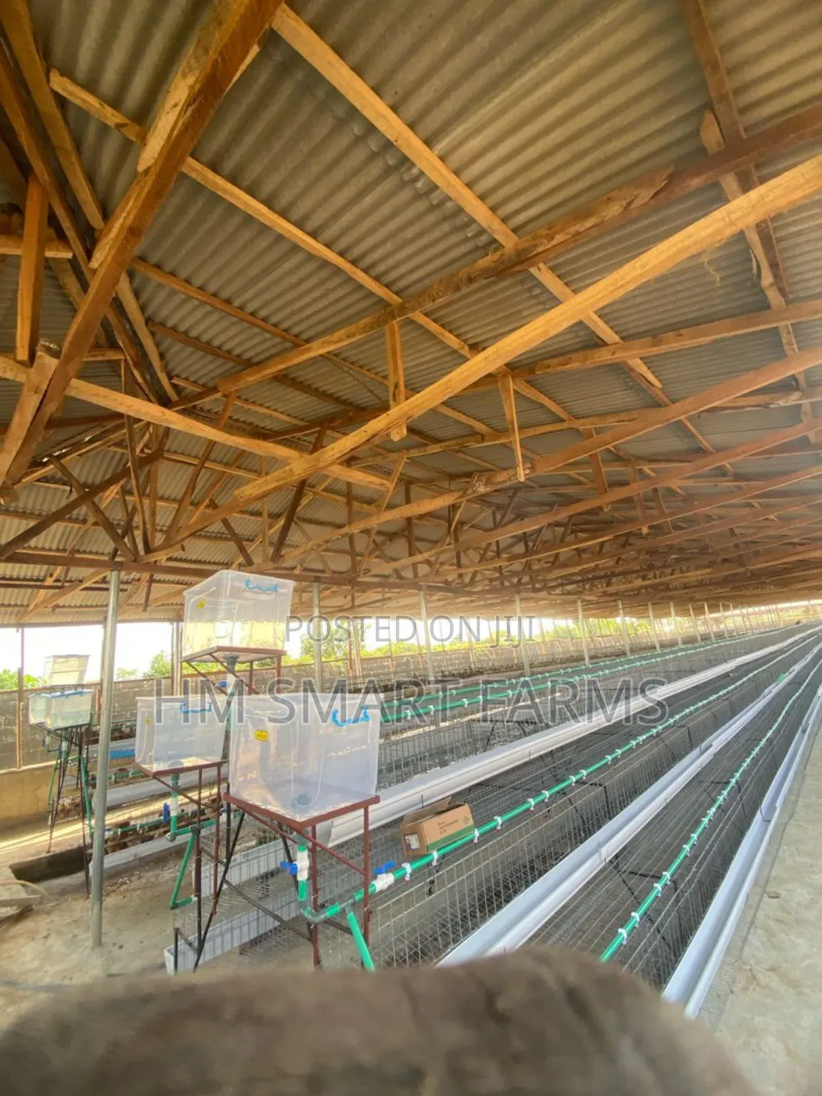 Battery Cage For Birds