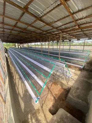 Battery Cage For Birds