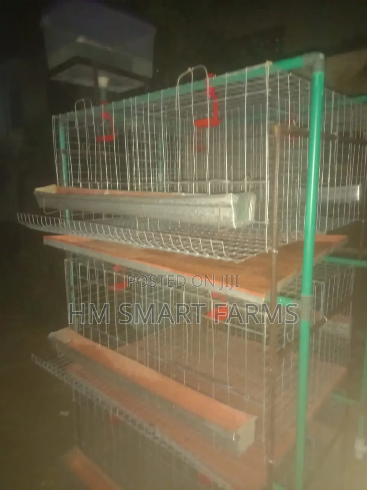 Battery Cage For Birds