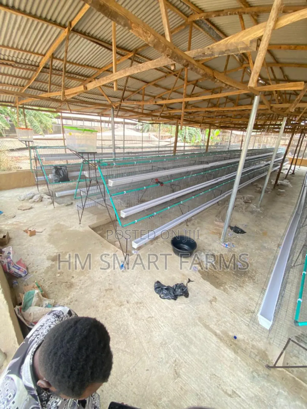 Battery Cage For Birds
