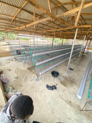 Battery Cage For Birds