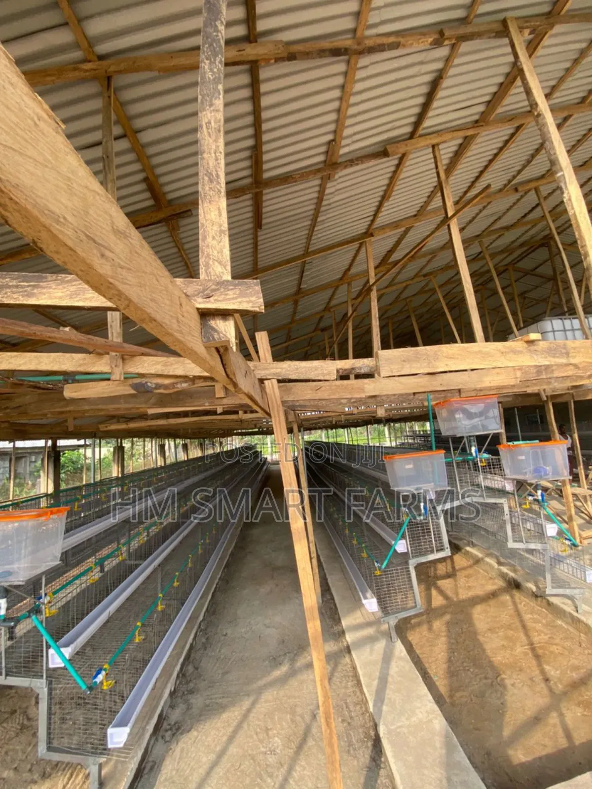 Battery Cage For Birds