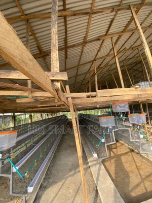 Battery Cage For Birds
