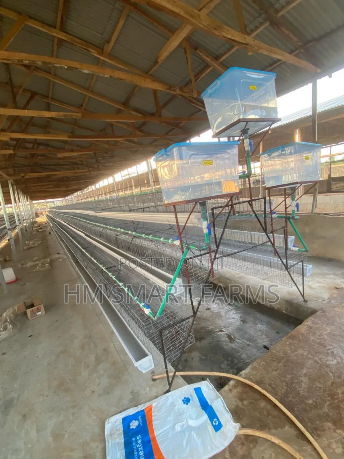 Battery Cage For Birds