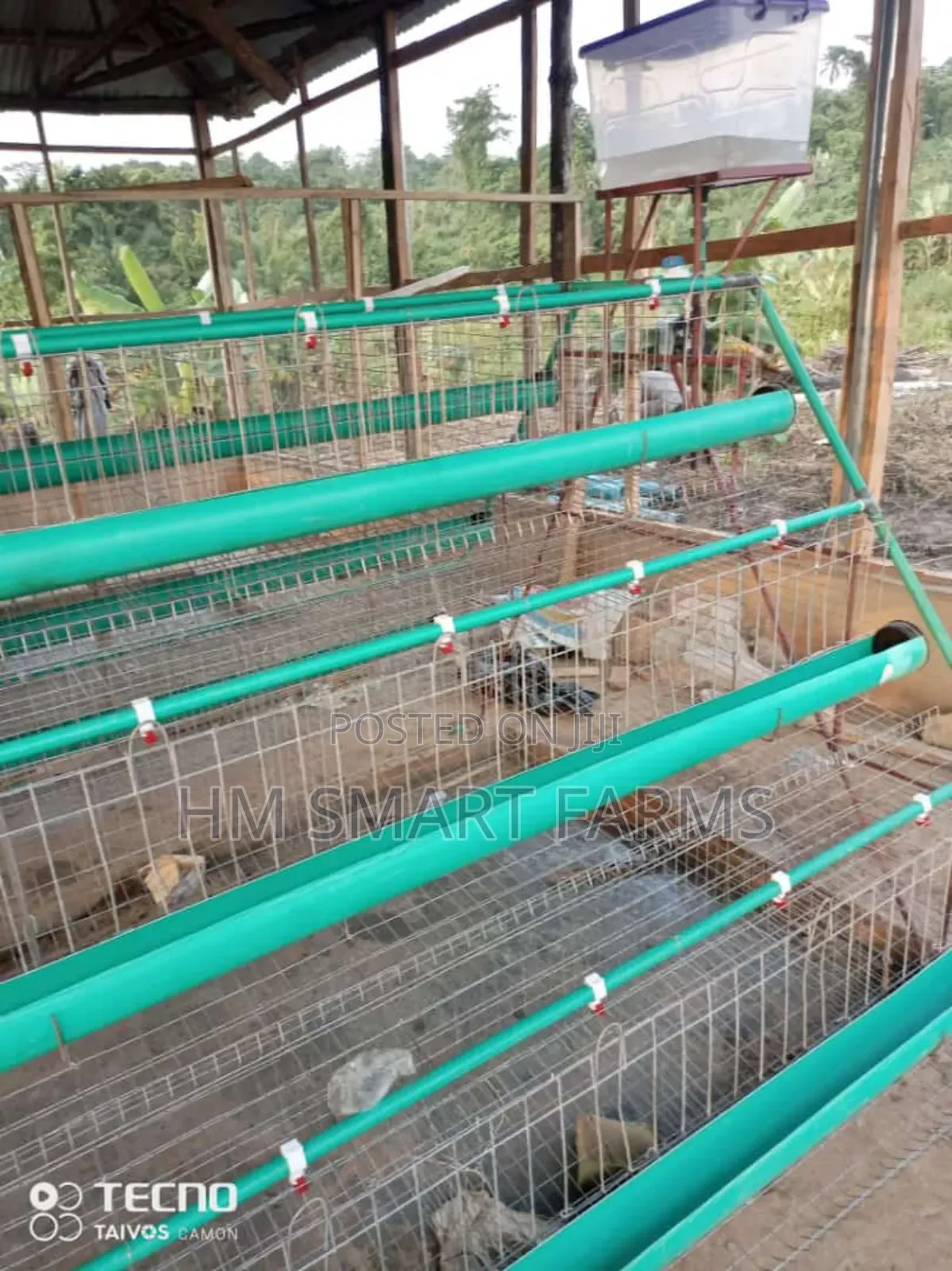 Battery Cage For Birds