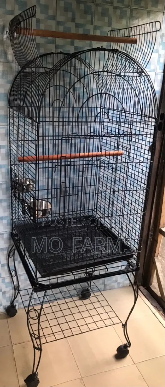 Parrot Cage