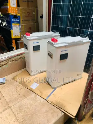 Blue Carbon 15kwh 51.2v Lithium Ion Phosphate Battery