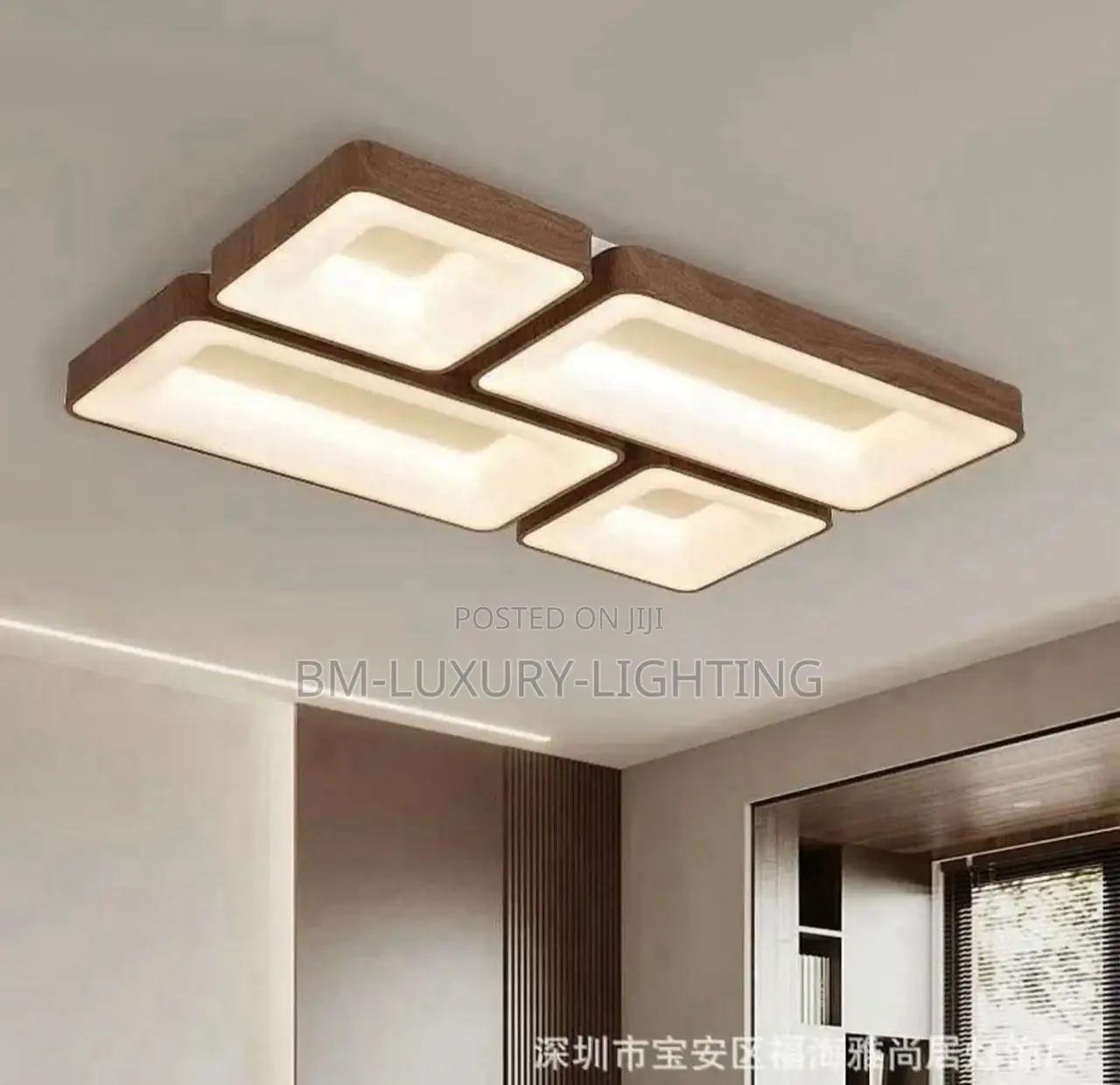 Executive Office Ceiling Flush