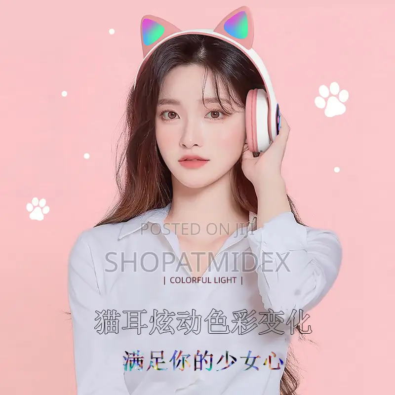 Cat Ear Head Phone