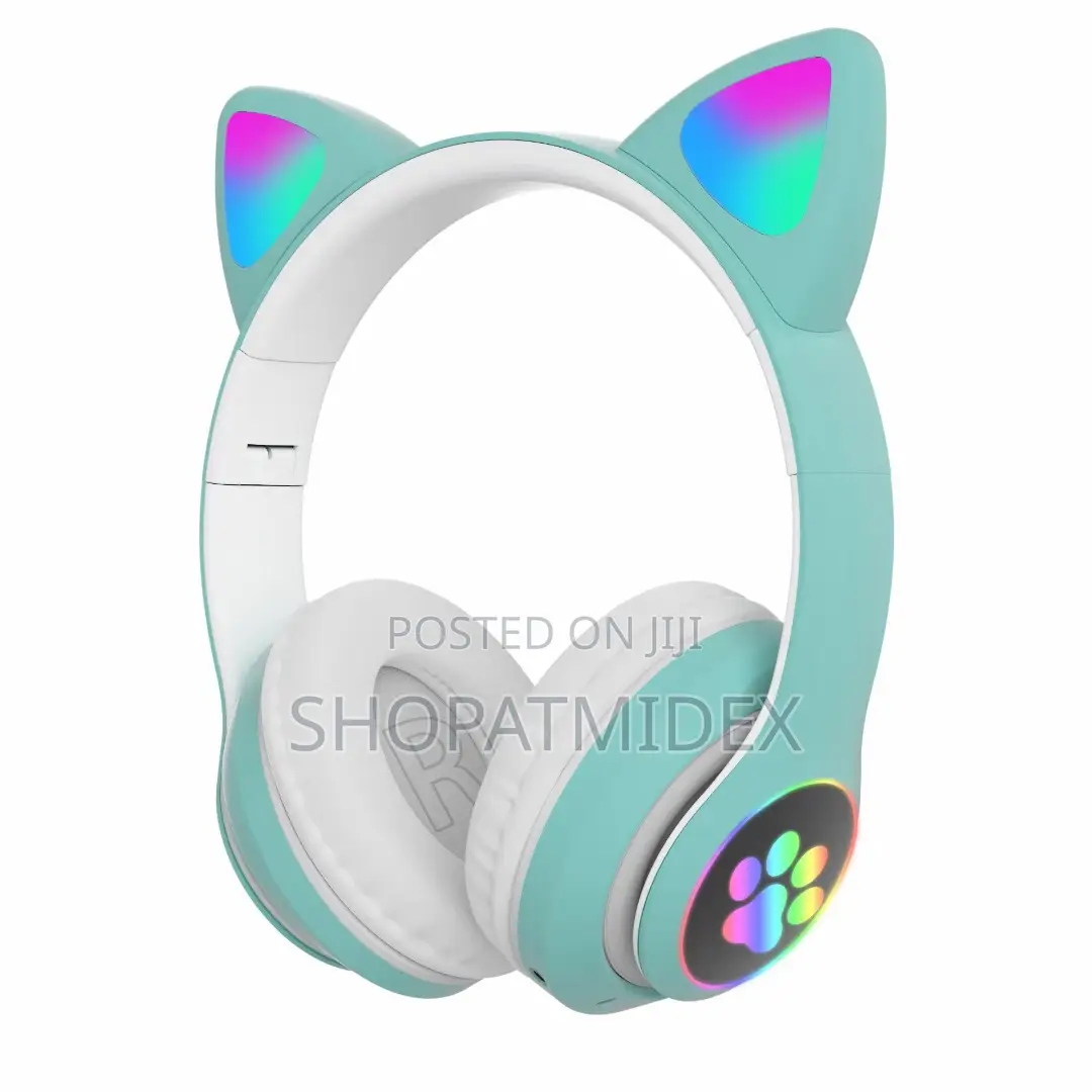 Cat Ear Head Phone