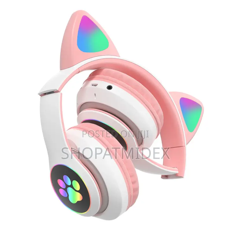 Cat Ear Head Phone