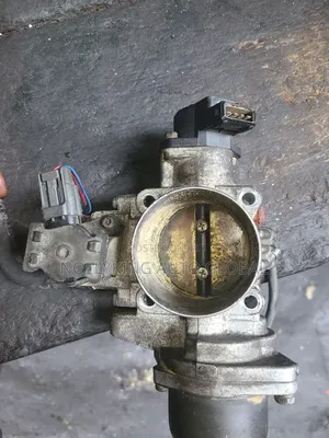 Kia Sedona 2005 Injector Mouth