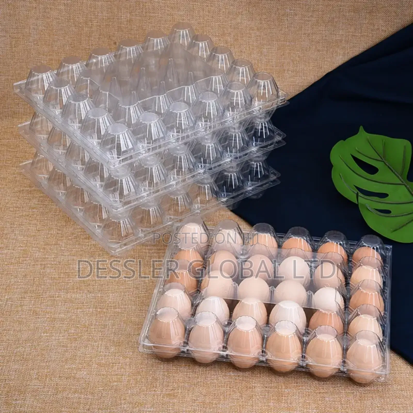 Transparent Egg Crates, Punnet, Fruit Packs, Strawberry Pack
