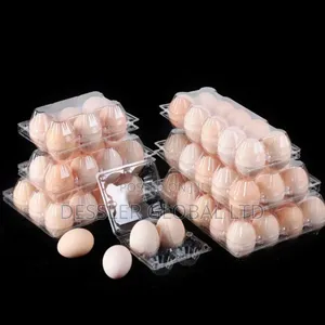 Transparent Egg Crates, Punnet, Fruit Packs, Strawberry Pack