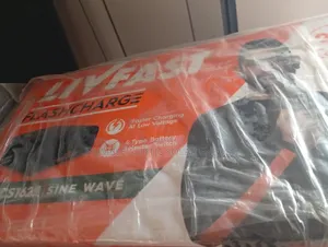 Livfast 1.6kva Inverter