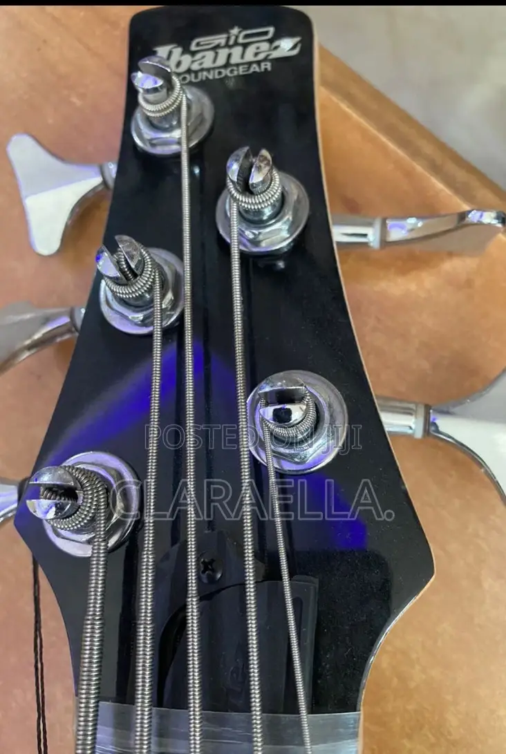 Ibanez Gsr205 5-String Bass Guitar.