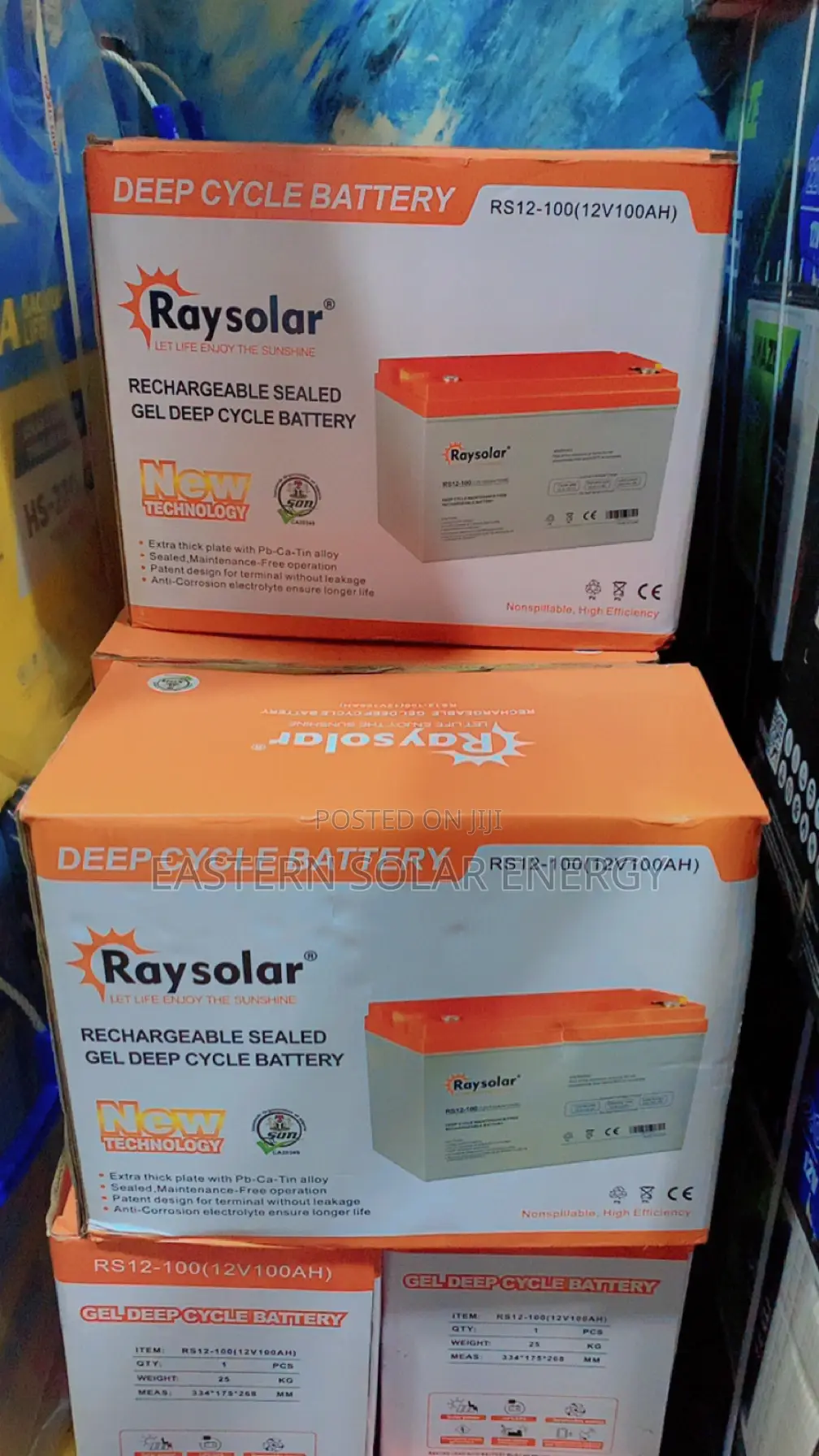 Raysolar 100ah Solar Battery