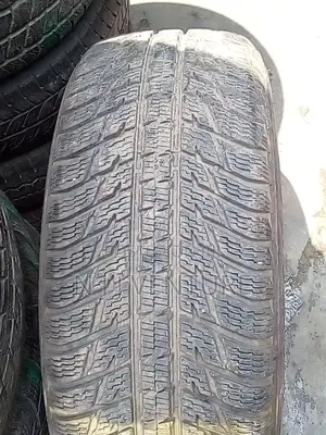 295 40 R21 Tukunbo Tyre