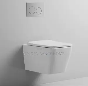 Square Shape Concealed Watercloset