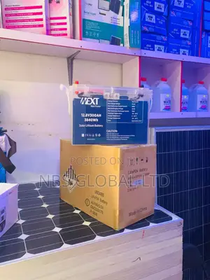 Next Power 3.8kwh 12.8v 300ah Lifep04 Lithium Ion Battery