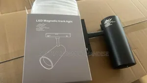 Magnetic Track Light