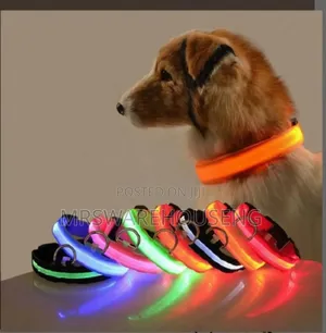3pcs Dog Collar Dog Safety Night Light Flashing Necklace