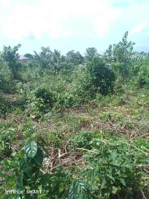 Sale, Plot of Land at Mota Ikorodu Lagos
