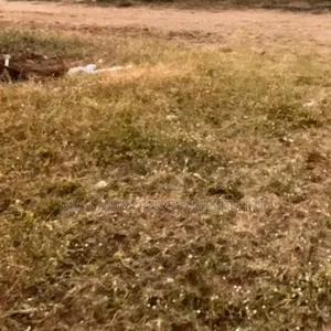 A Parcel of Land Available for Sale at Acme Road