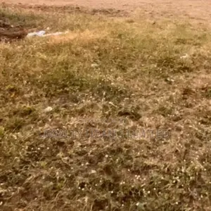 Land Directly On Ogudu Road