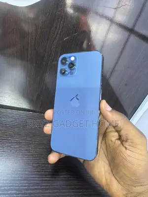 Apple iPhone 12 Pro Max 256 GB Blue