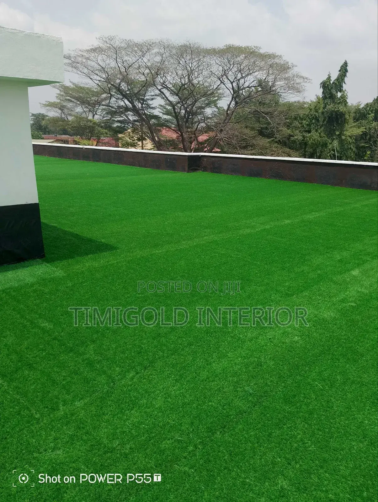 Carpet Grass, Interior Exterior
