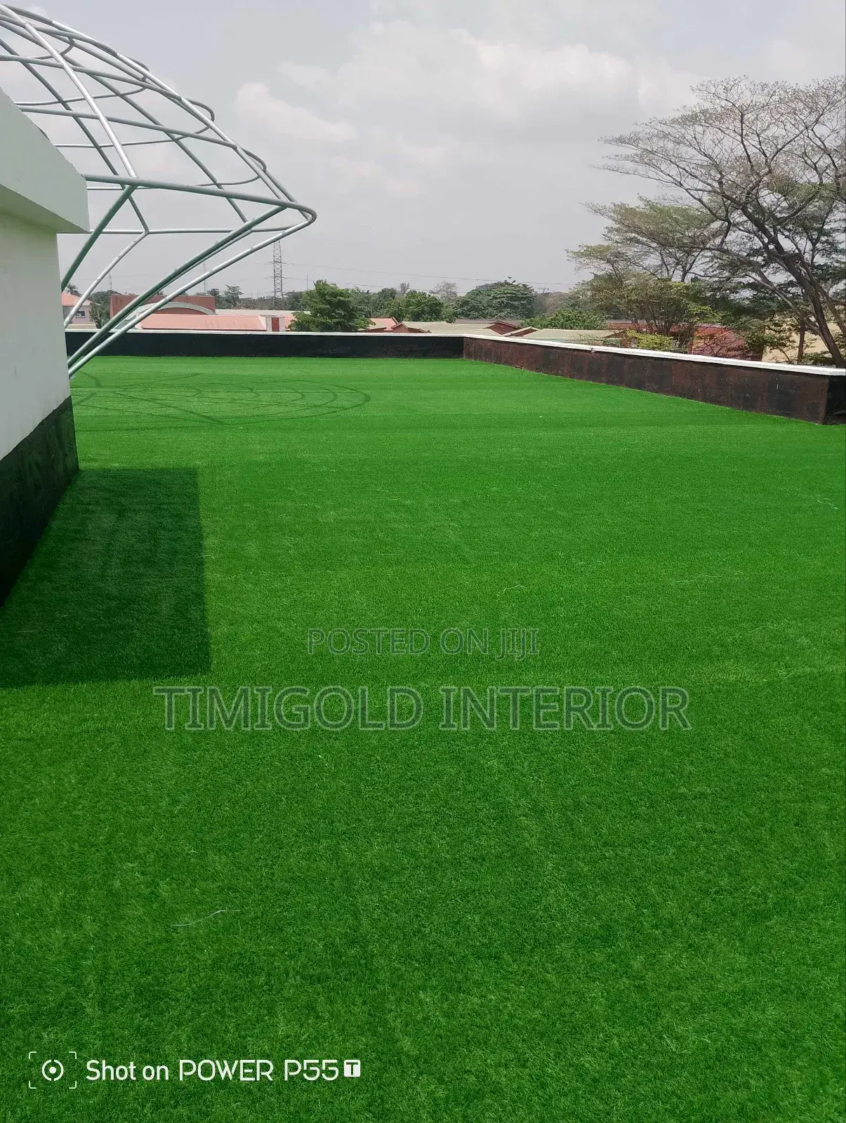 Carpet Grass, Interior Exterior