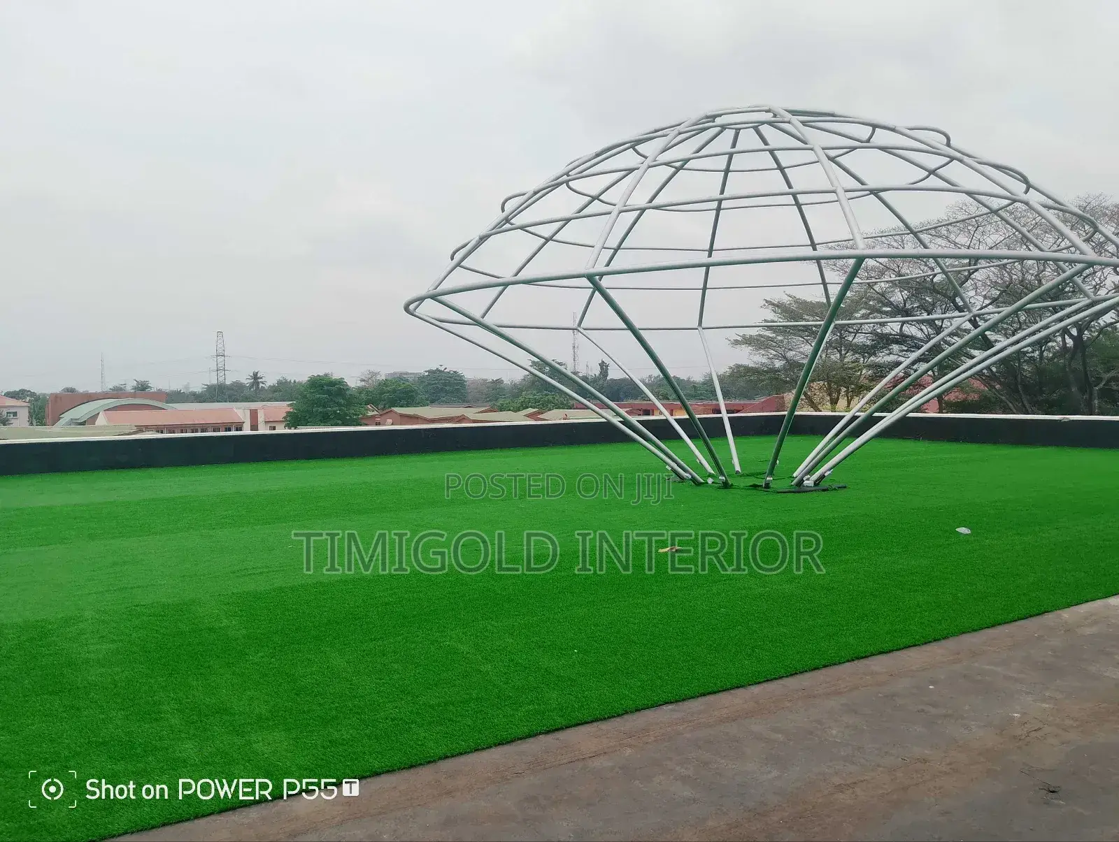 Carpet Grass, Interior Exterior