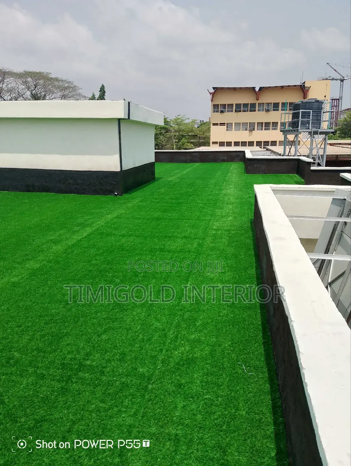 Carpet Grass, Interior Exterior