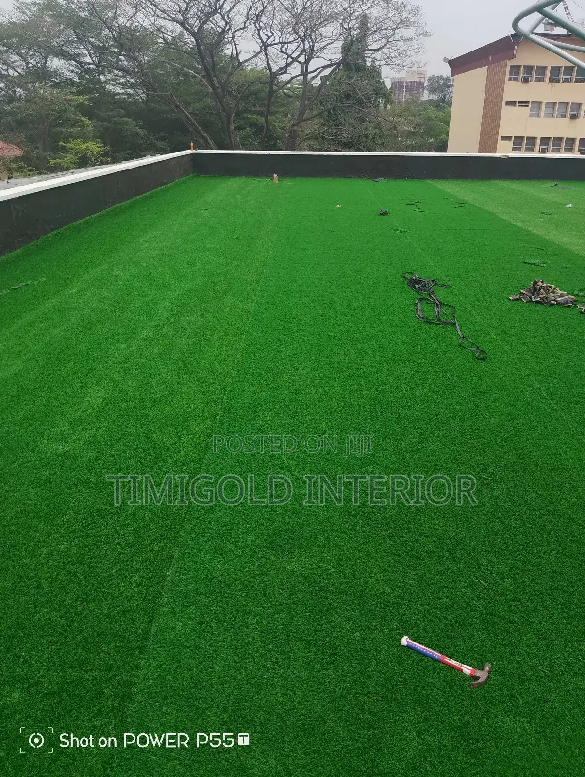 Carpet Grass, Interior Exterior
