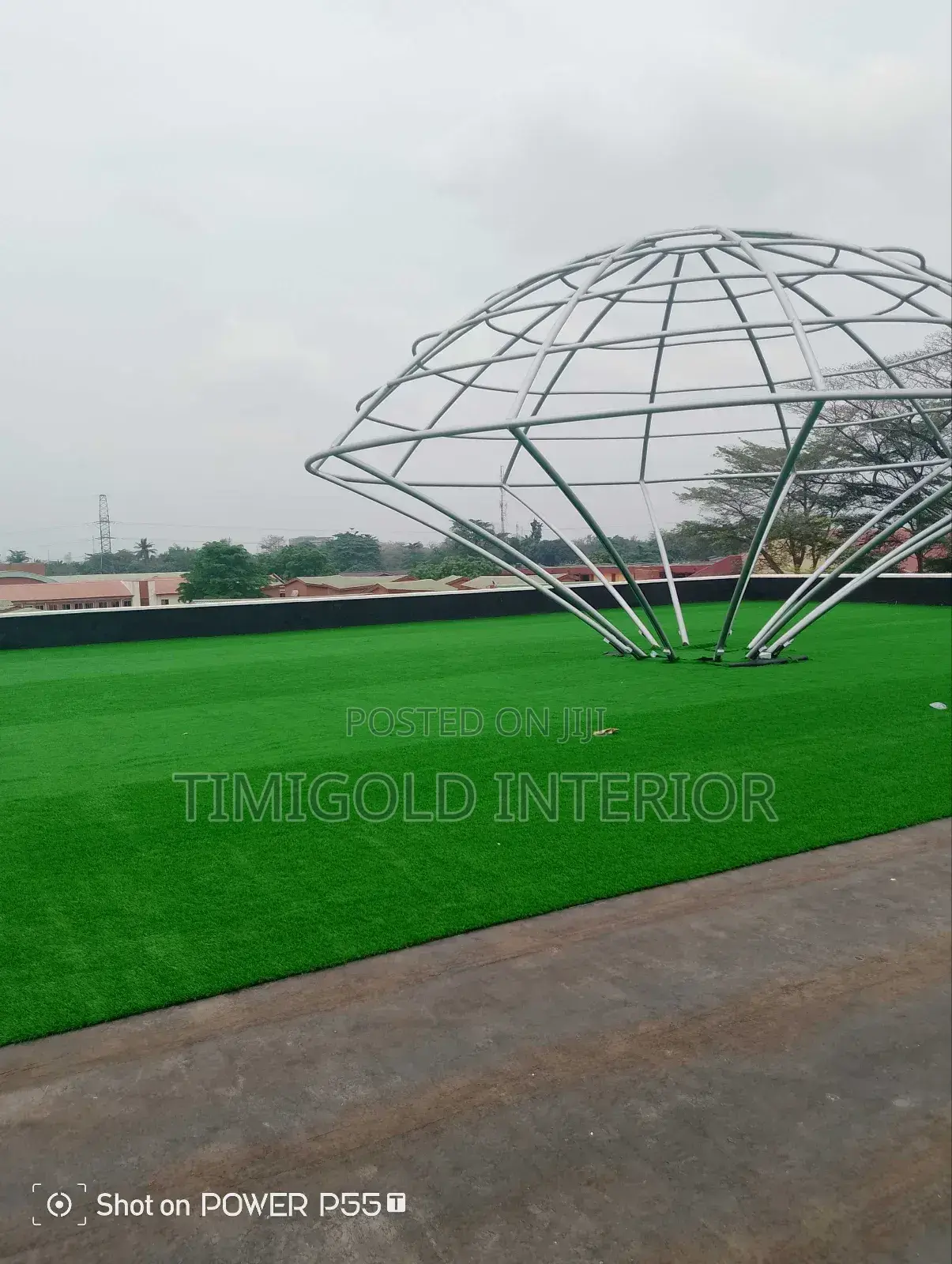 Carpet Grass, Interior Exterior
