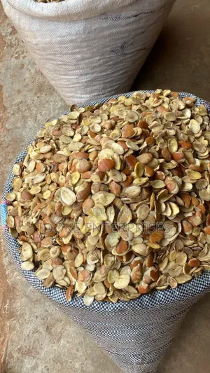 Ogbono Seeds