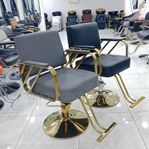 Salon Chair Wd888