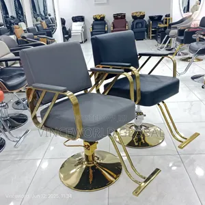 Salon Chair Wd888