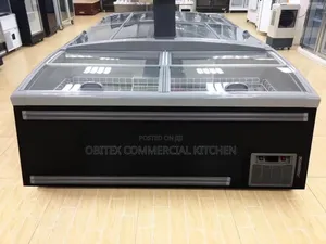 Industrial Ice-Land Freezer 6feets Is Now Available for Sale
