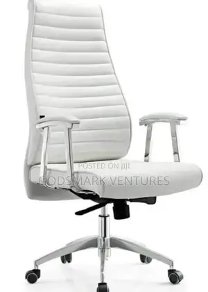 Ergonomic Office Chair