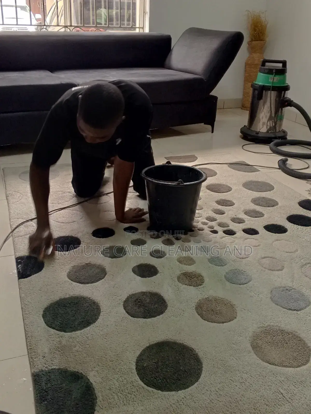 Rugs/Carpet Cleaning Services