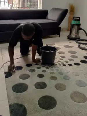 Rugs/Carpet Cleaning Services