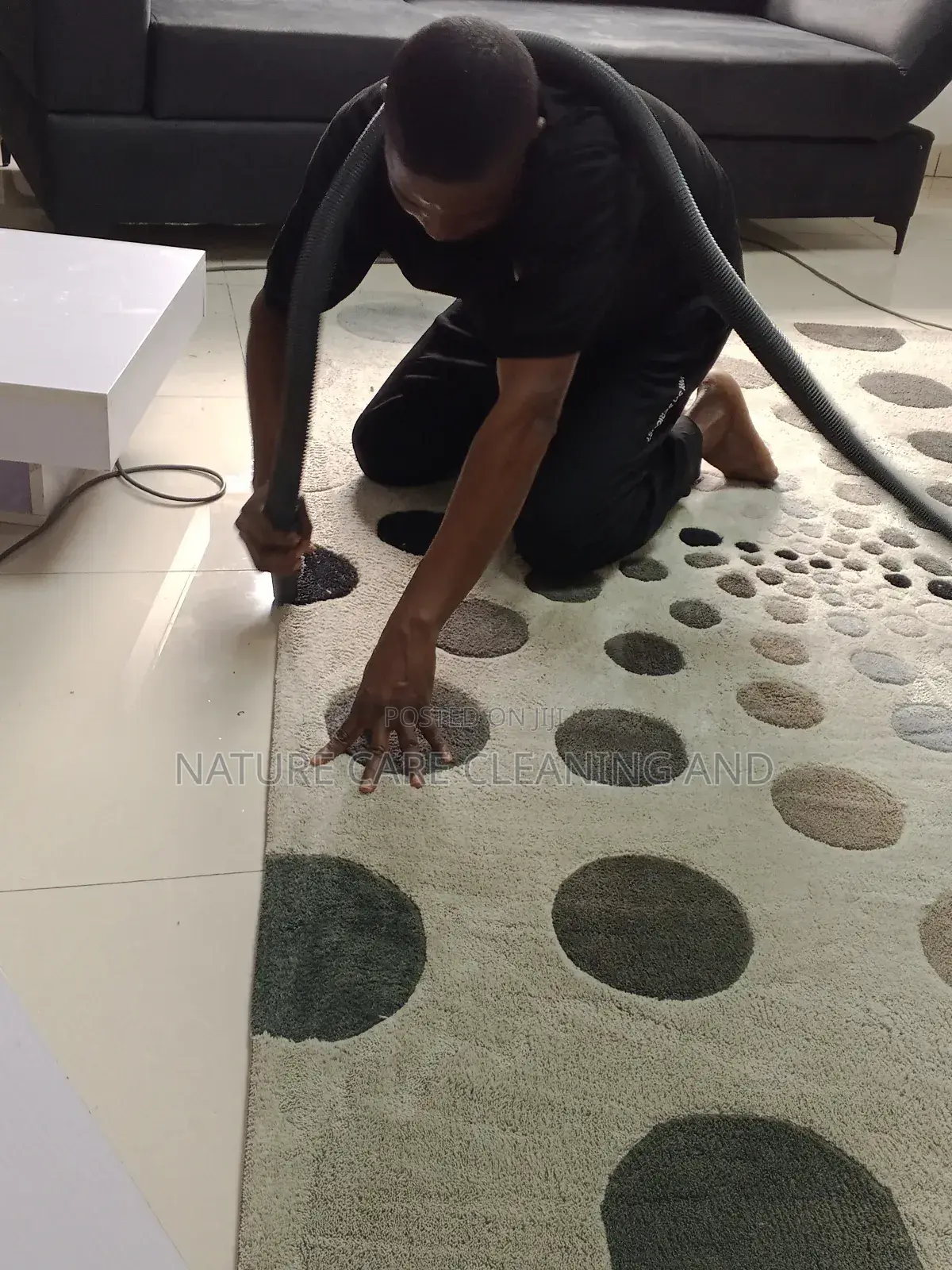 Rugs/Carpet Cleaning Services