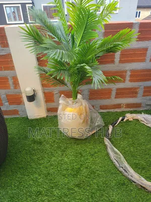 Luxury Palm Medium Flower and Map Design Wave Flower Pot