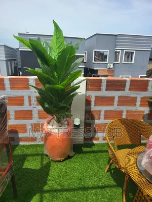 Shanfa Flower Vase Pot and Beautiful Plant Flower